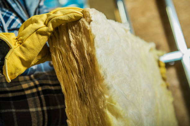Best Home Insulation Services  in Santa Rosa, TX