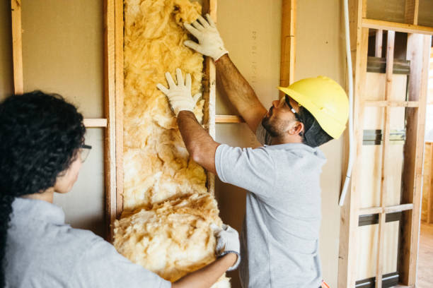 Best Attic Insulation Installation  in Santa Rosa, TX