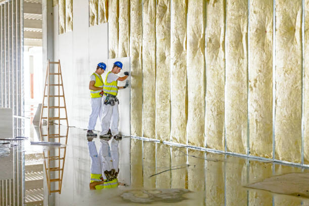 Best Affordable Insulation Services  in Santa Rosa, TX